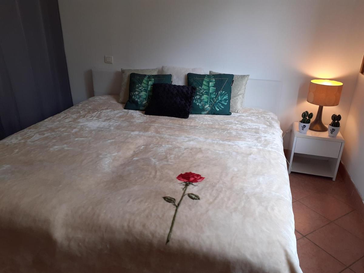 Logement Calme Et Agreable A Proximite D'Ajaccio Canale Cabanes 외부 사진